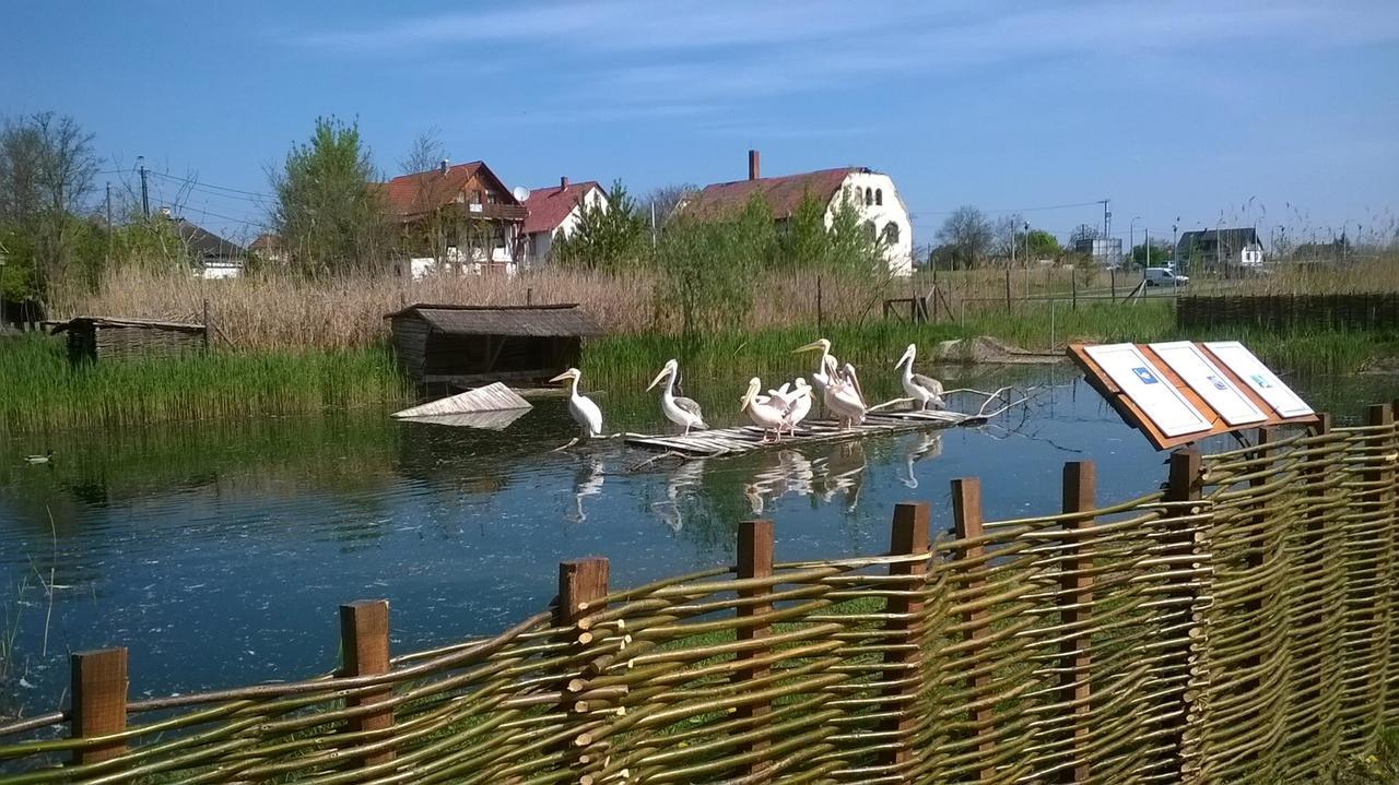 Árpád nyaralóház Sarud Exterior foto